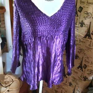 Dress Barn | Rich Purple Blouse